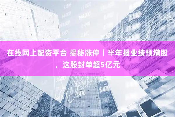 在线网上配资平台 揭秘涨停丨半年报业绩预增股，这股封单超5亿元